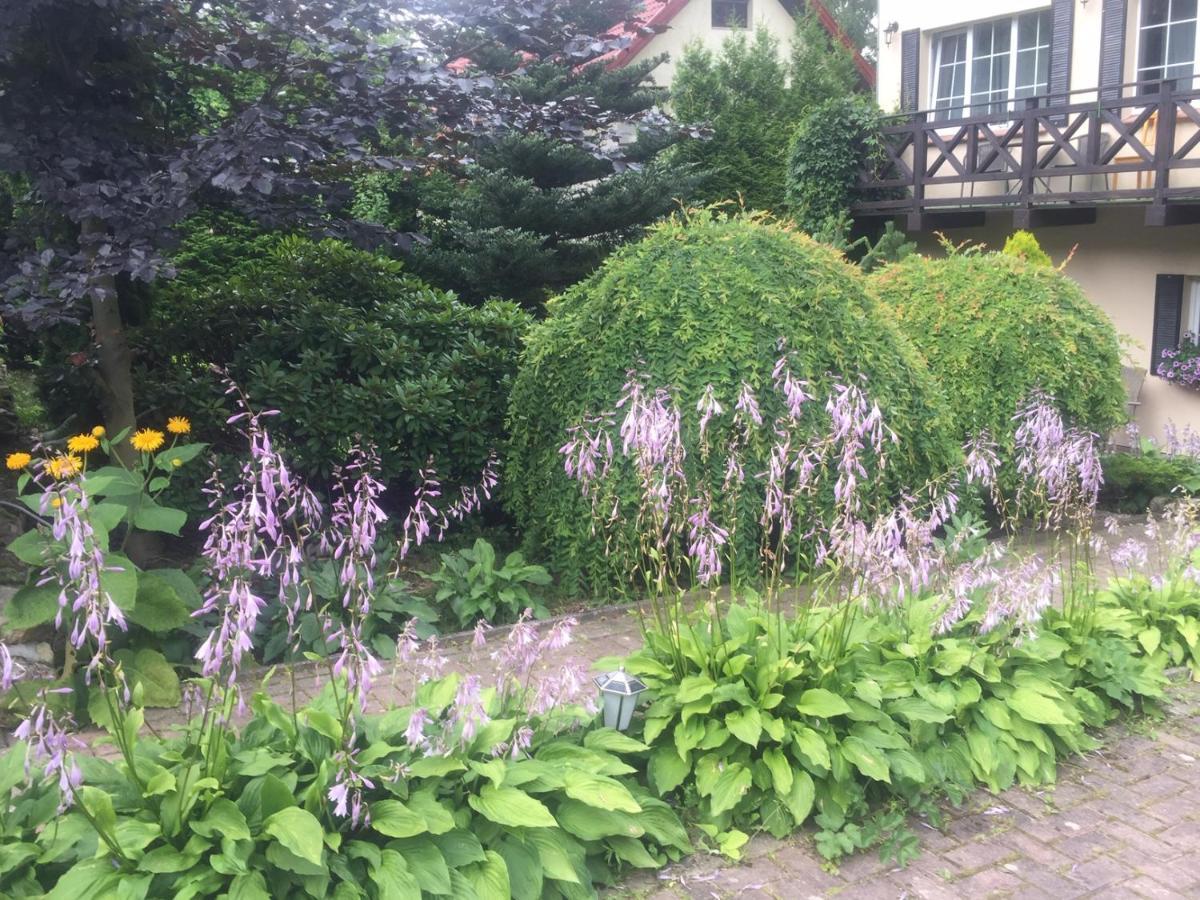 Homestay Szyszka Karpacz