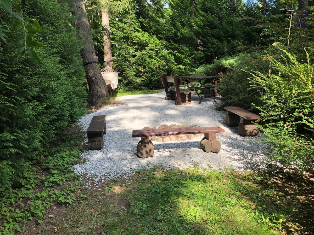 Szyszka Homestay