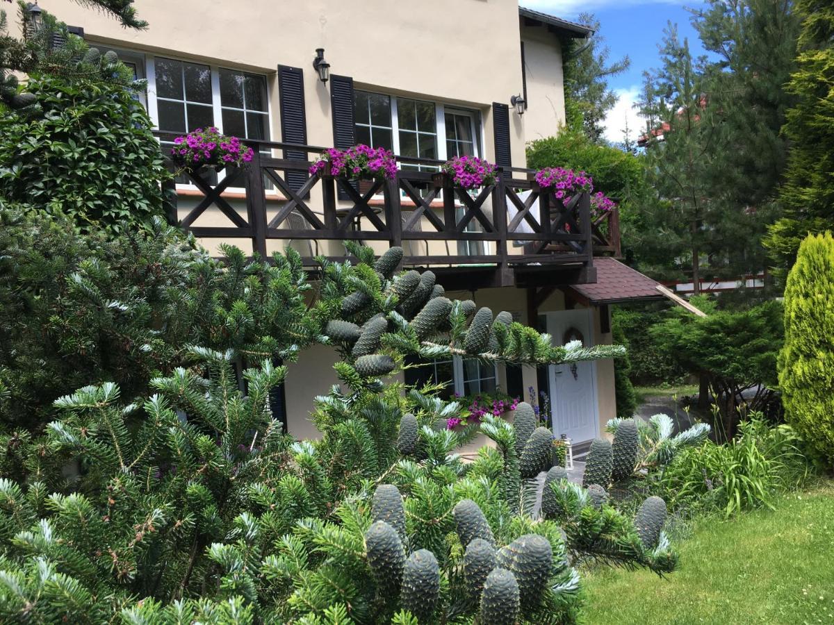 Szyszka Homestay *